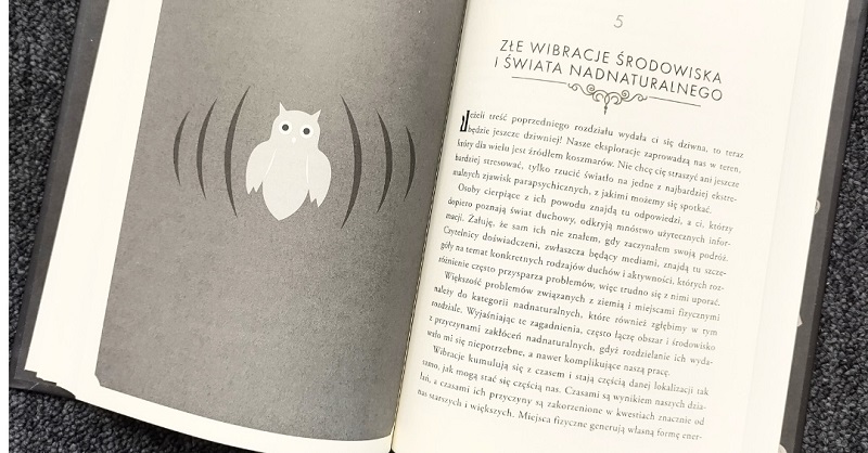 Ochrona energetyczna